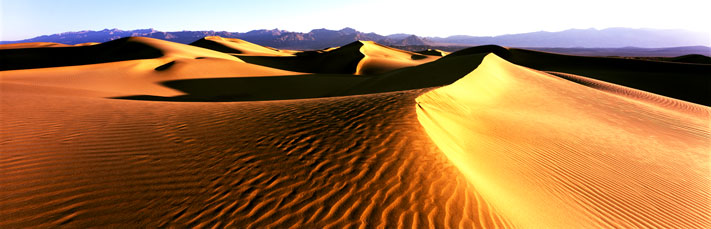 Panoramic Landscape Photography Golden Dunes, Death Valley